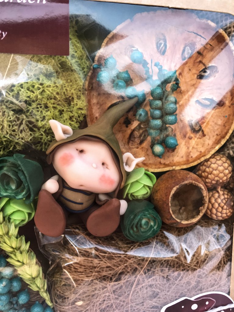 My Own Fairy Garden Starter Kit 1